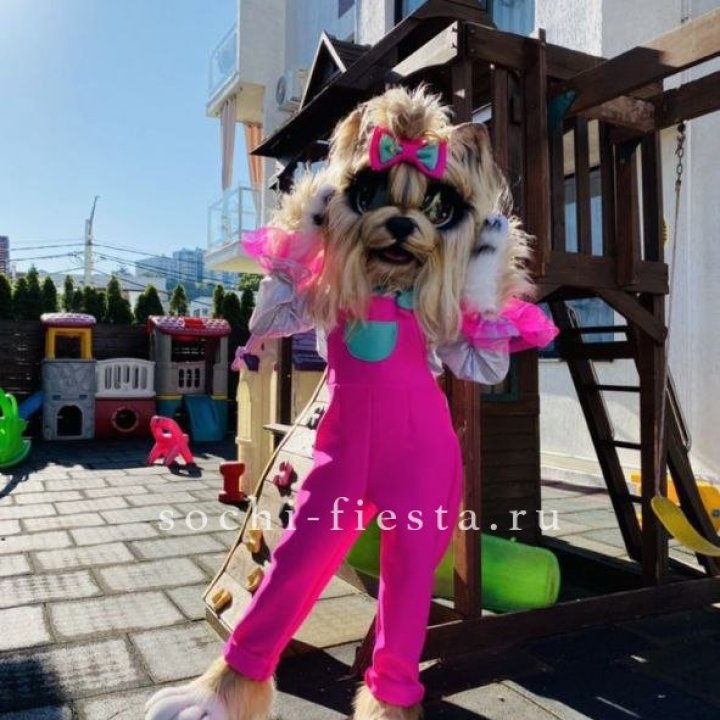 Аниматор Гламурная Собака в Уфе