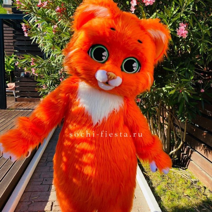 Аниматор Котик в Уфе