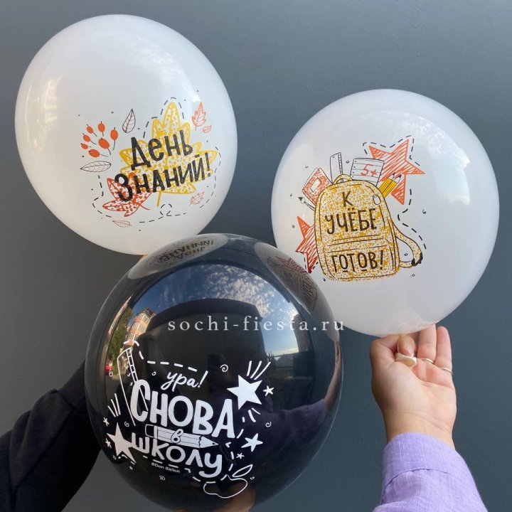 Воздушный шар к 1 сентября в Уфе