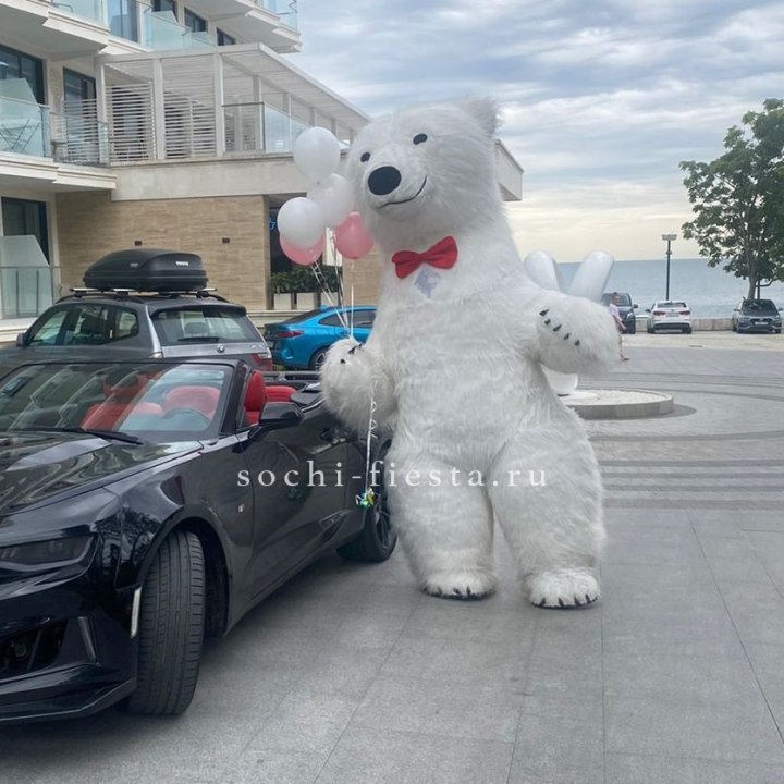 Аниматор Белый Медведь в Уфе