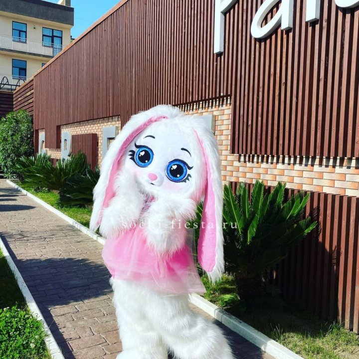 Аниматор Зайка в Уфе