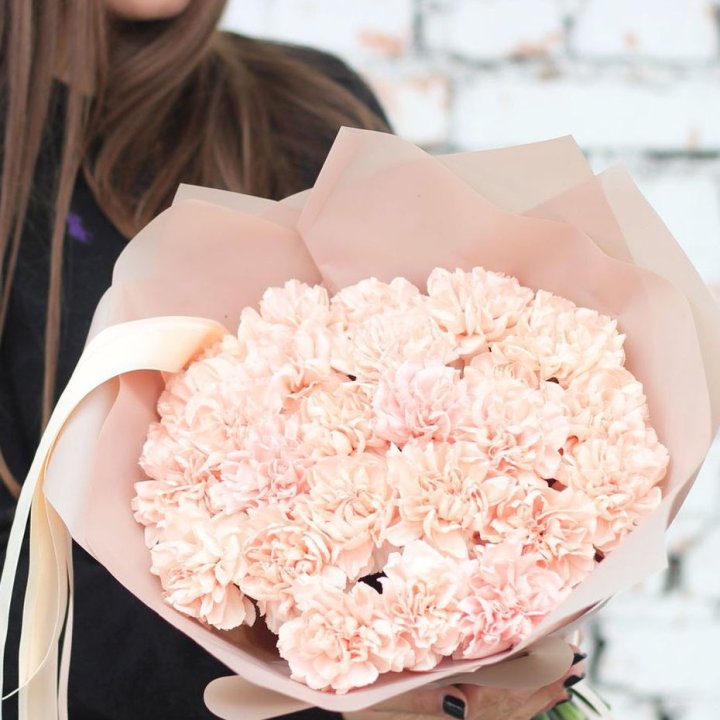 Диантусы №2 в Уфе