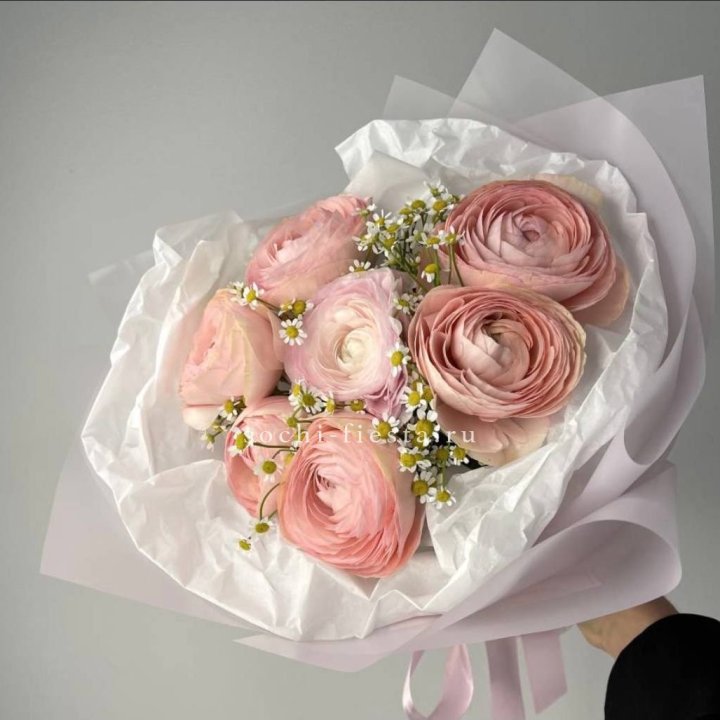 Ранункулюсы с ромашками в Уфе