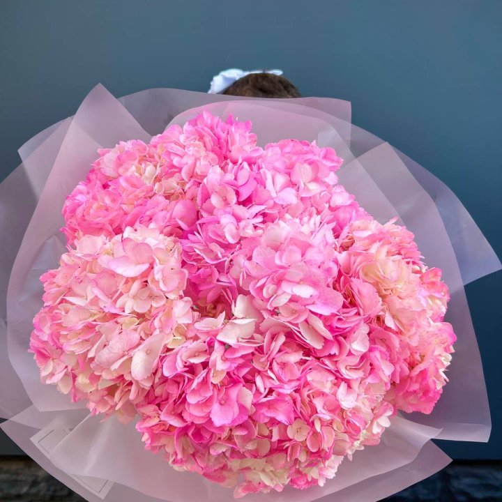 9 ярко розовых гортензий в Уфе