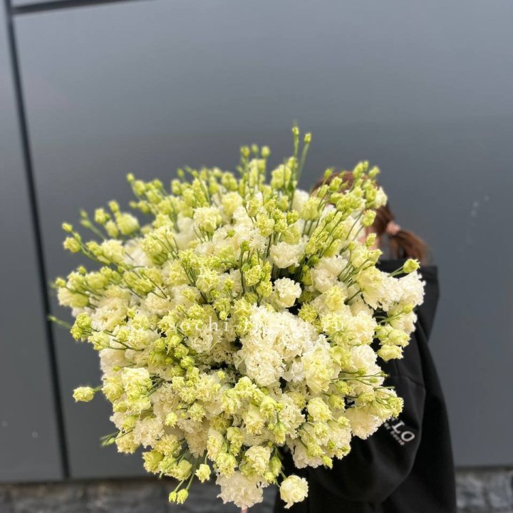 51 белая эустома в Уфе