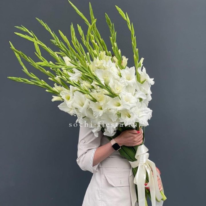 19 белых гладиолусов под ленту в Уфе