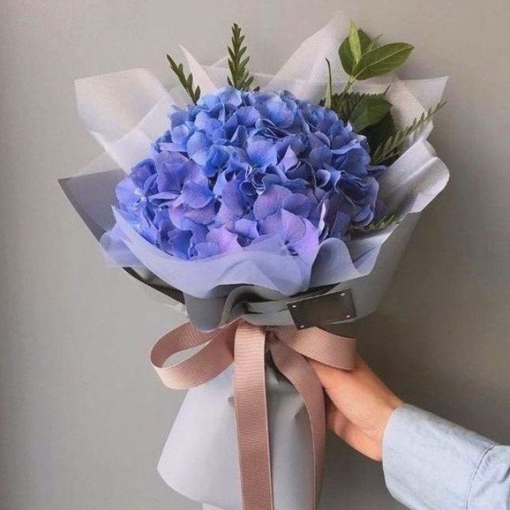 Гортензия голубая в Уфе