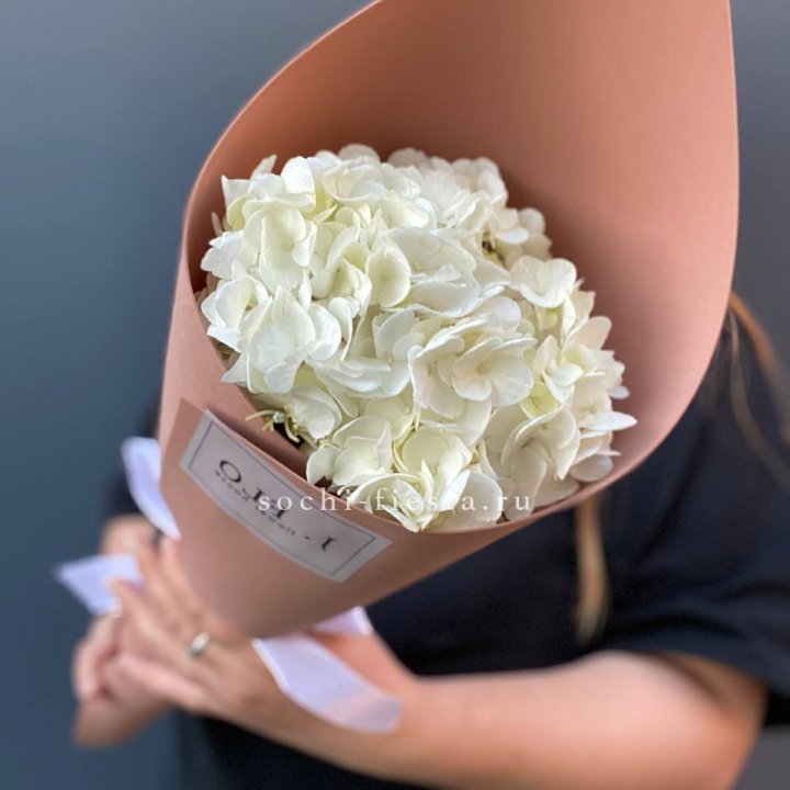 Гортензия в конверте в Уфе