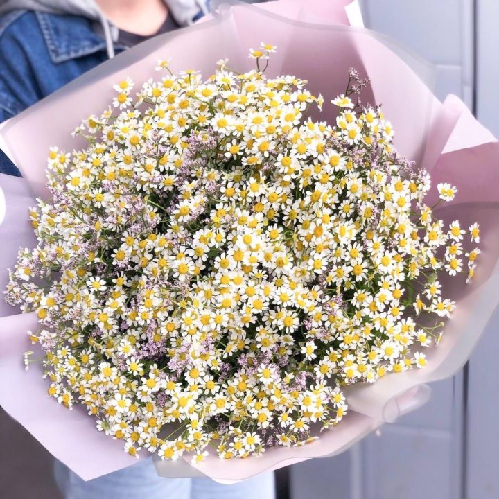 Букет ромашек №1 в Уфе
