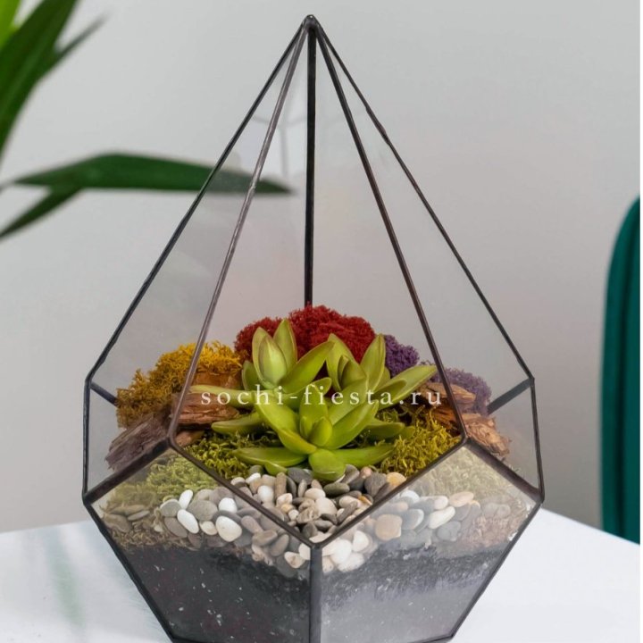 Флорариум Капля с суккулентом в Уфе