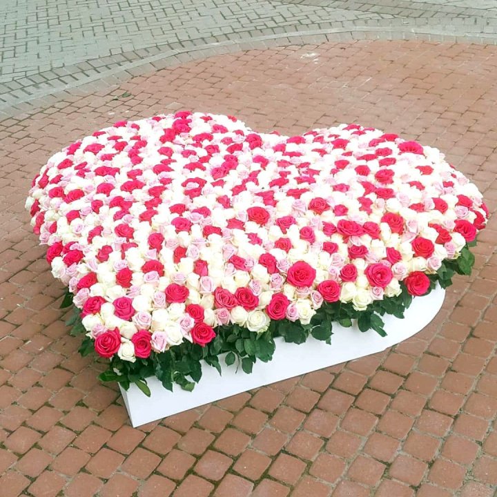 555 роза  в Уфе