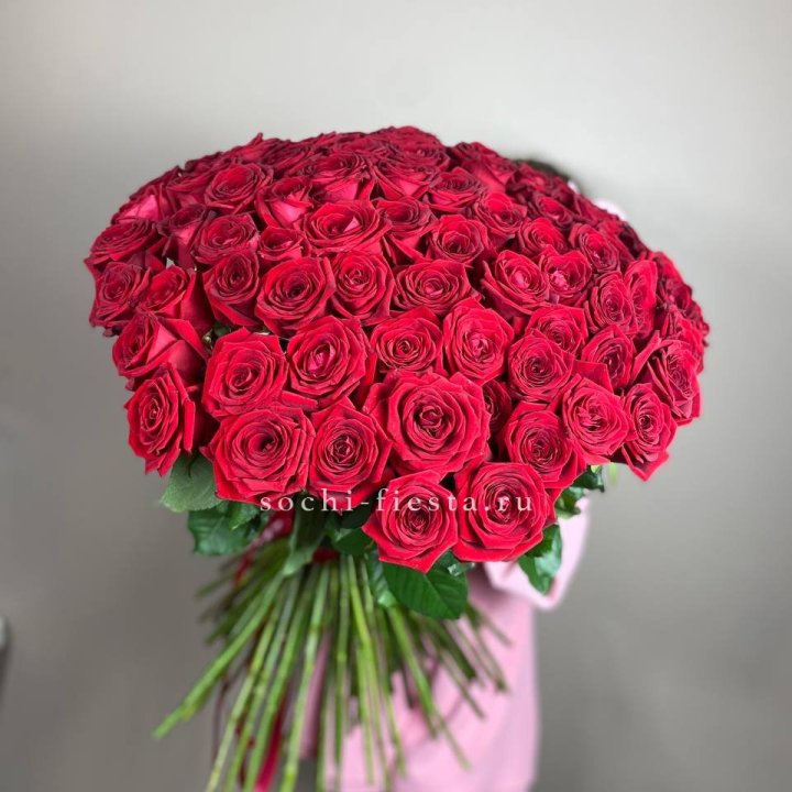 101  голландская роза  в Уфе