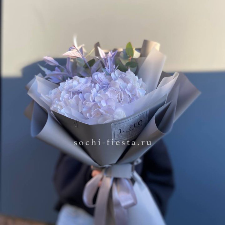 Гортензия "Виолета" в Уфе