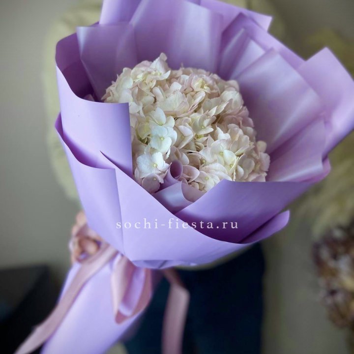 Гортензия розовая в Уфе