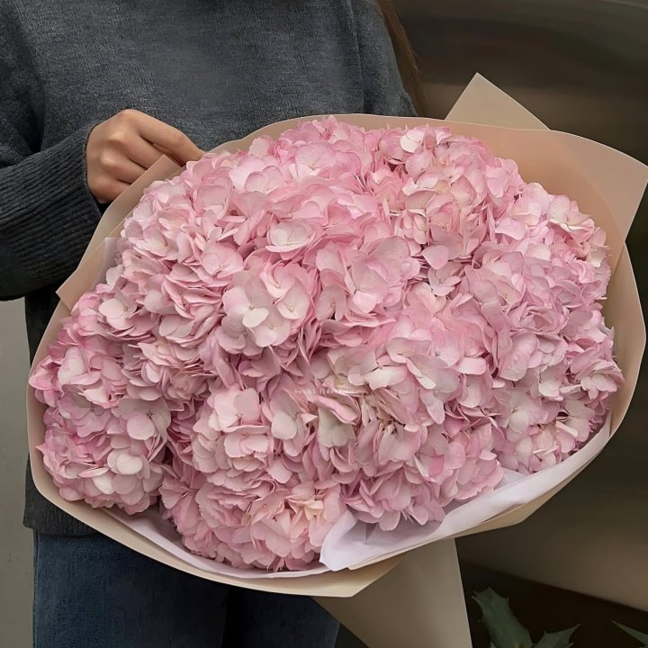 Гортензия  "РОЗЕ" в Уфе