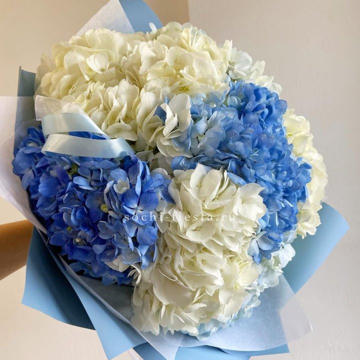 Букет гортензий "Голубая лаза" в Уфе