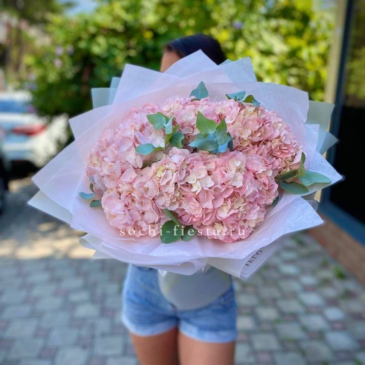 5 розовых гортензий  в Уфе