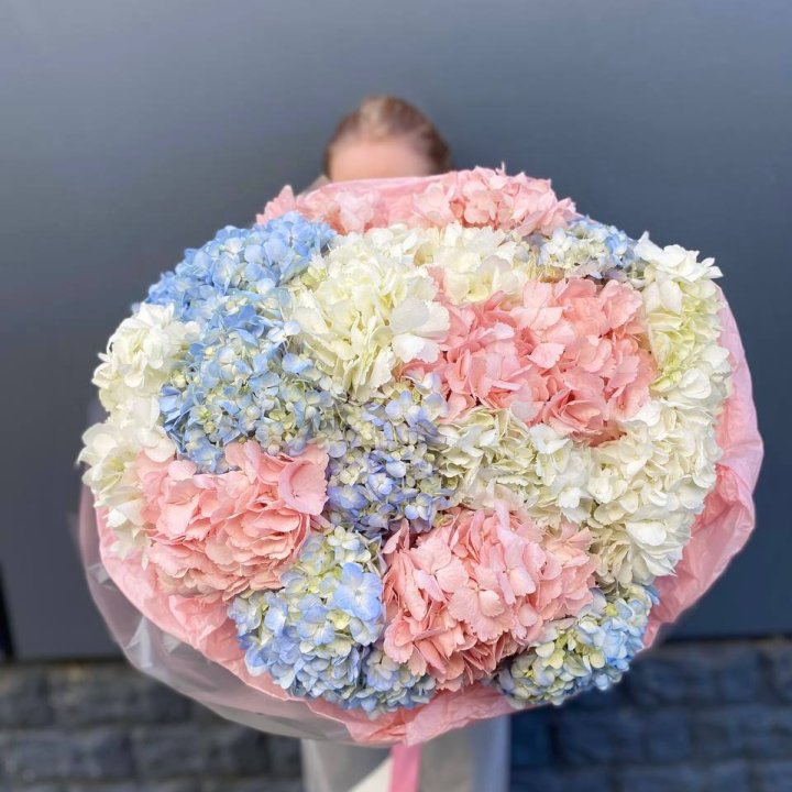 19 гортензий микс в Уфе