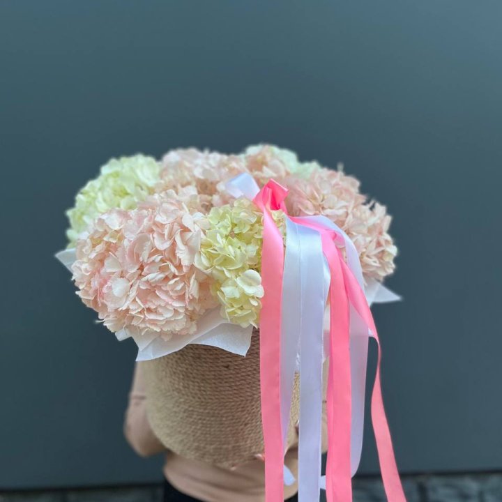 7 гортензий в кашпо в Уфе