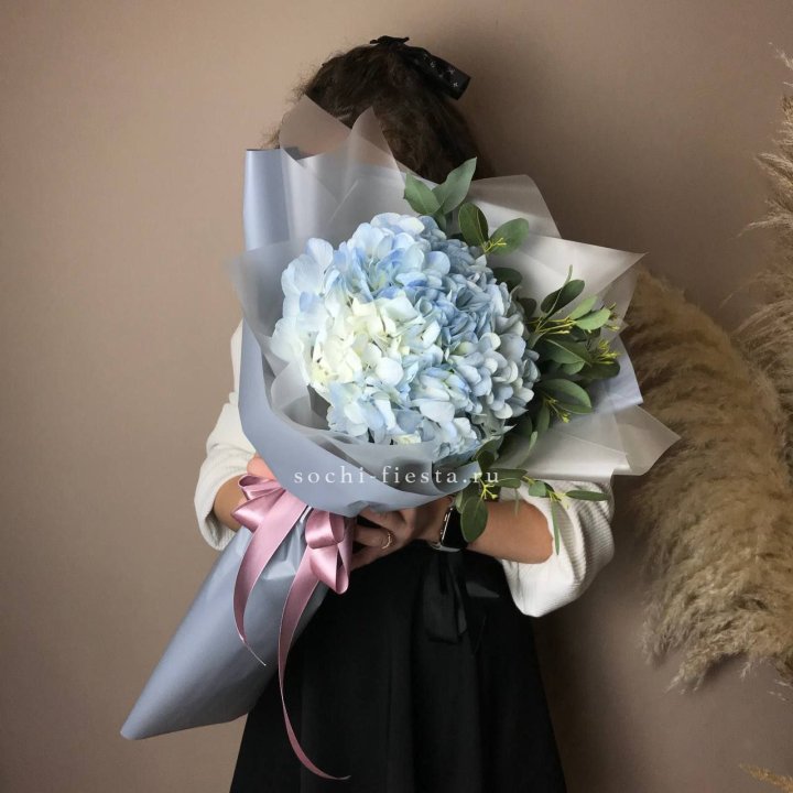 Гортензия Уно в Уфе