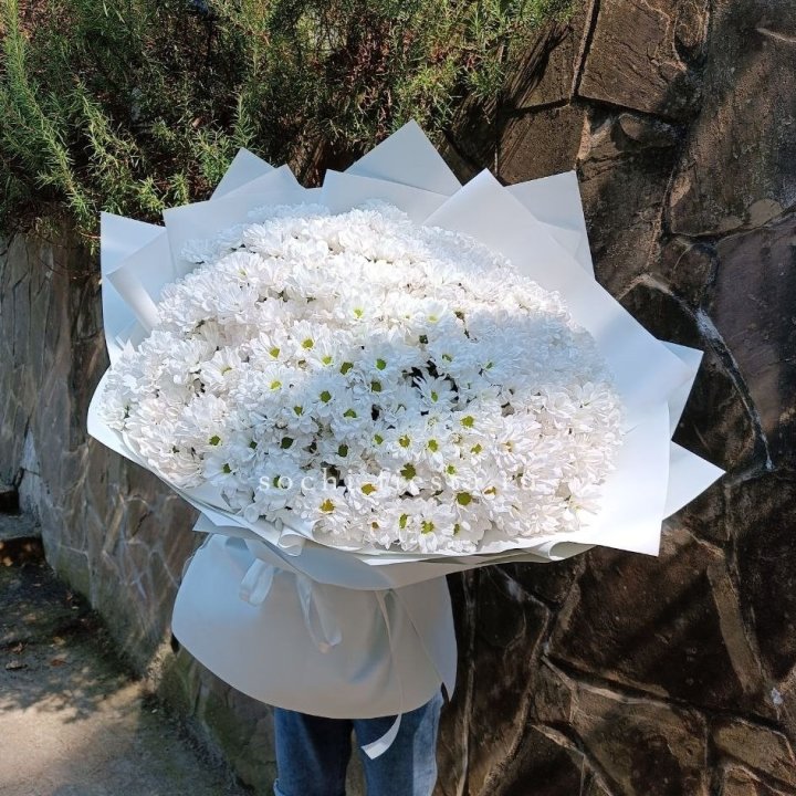 Облако хризантем №2 в Уфе