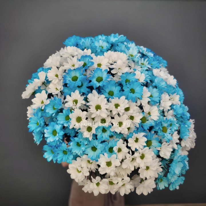  Букет хризантем микс в Уфе