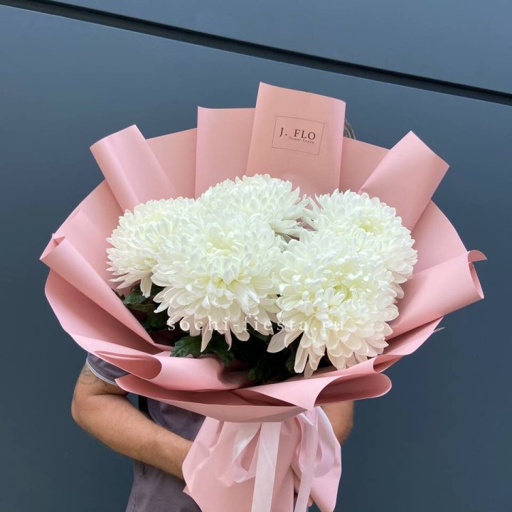 Профитроли №2 в Уфе