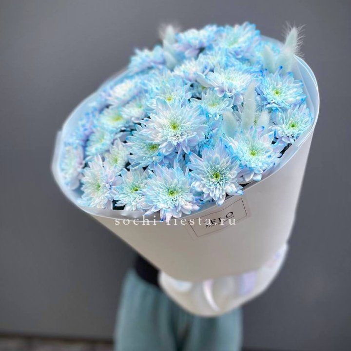  Букет нежно-голубых хризантем  в Уфе