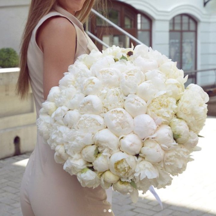 51 белый пион в Уфе