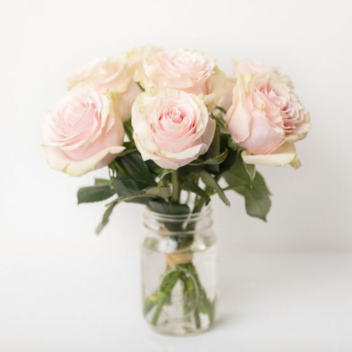 7 кремовых роз в Уфе