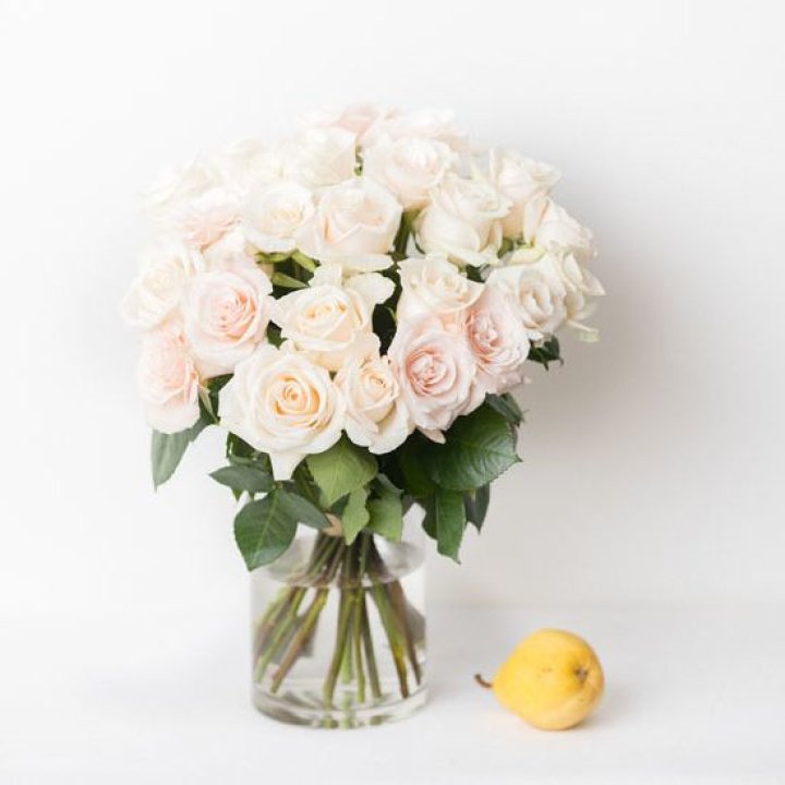 25 кремовых роз в Уфе