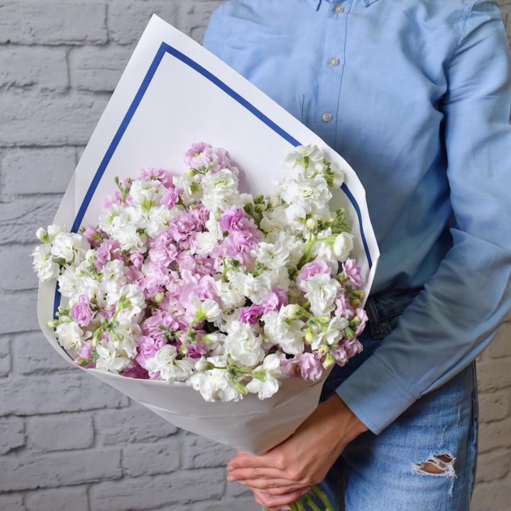 Маттиола в Уфе