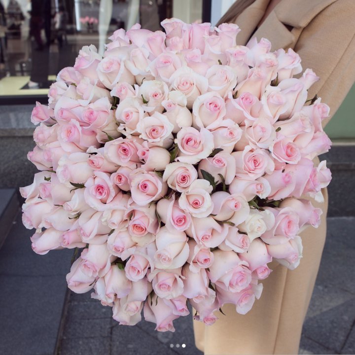 Розы "Пинк бум" в Уфе