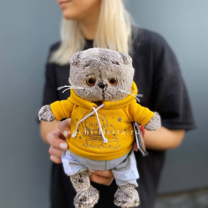 Кот Басик в худи в Уфе