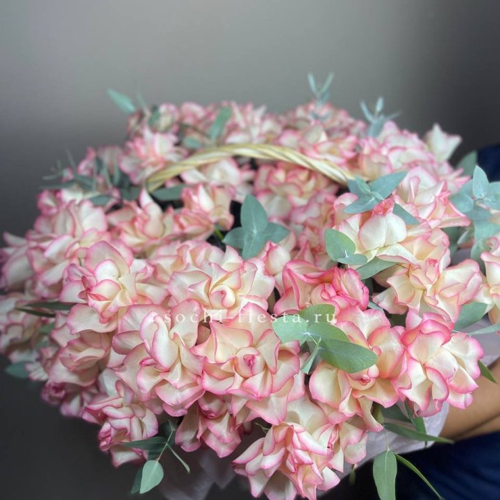 51 джумилия  в корзине   в Уфе