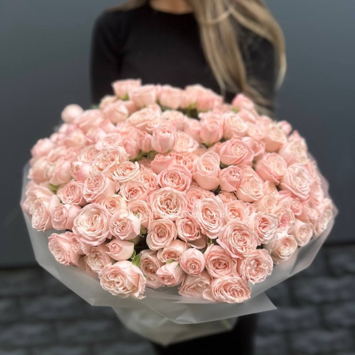 51 кустовая роза Бомбастик в Уфе