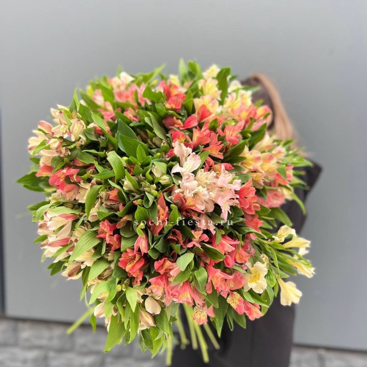 51 альстромерия в Уфе