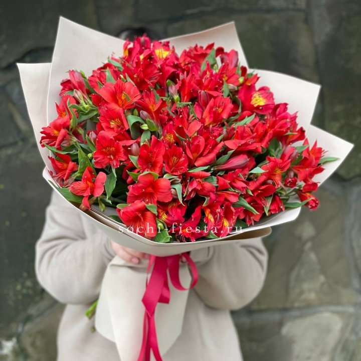 51 альстромерия в Уфе