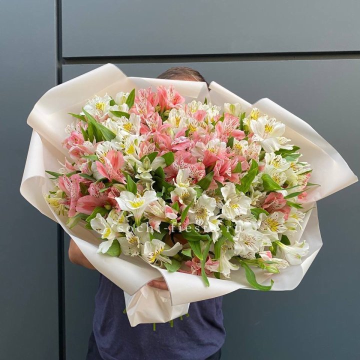 39 альстромерий в Уфе