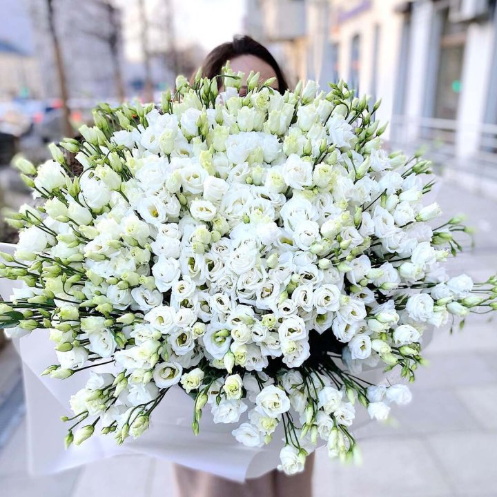 101 белая эустома в Уфе