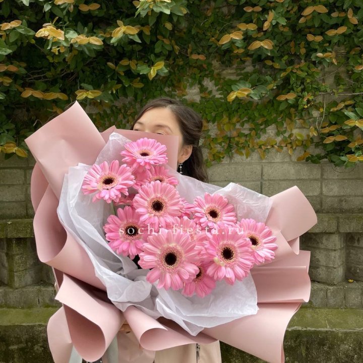 13 розовых гербер в Уфе