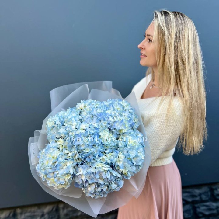 7 голубых гортензий в Уфе