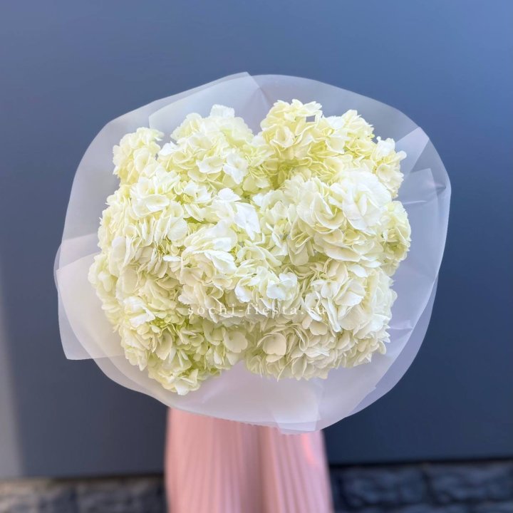 7 белых гортензий в Уфе