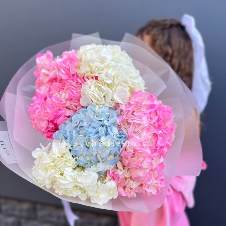 7 гортензий микс в Уфе