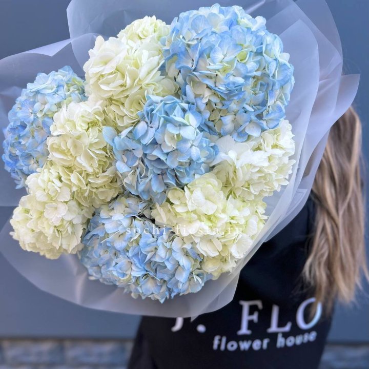 9 бело-голубых гортензий в Уфе
