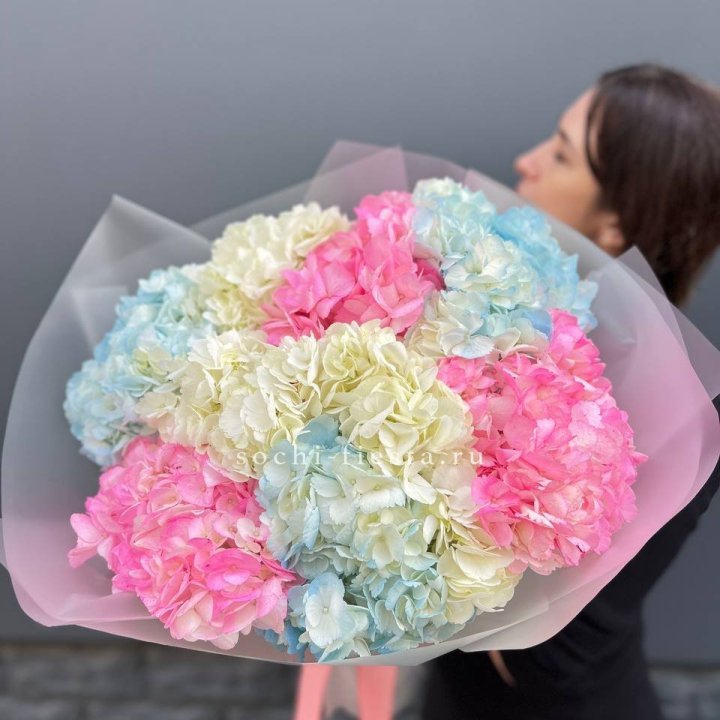 9 гортензий микс в Уфе