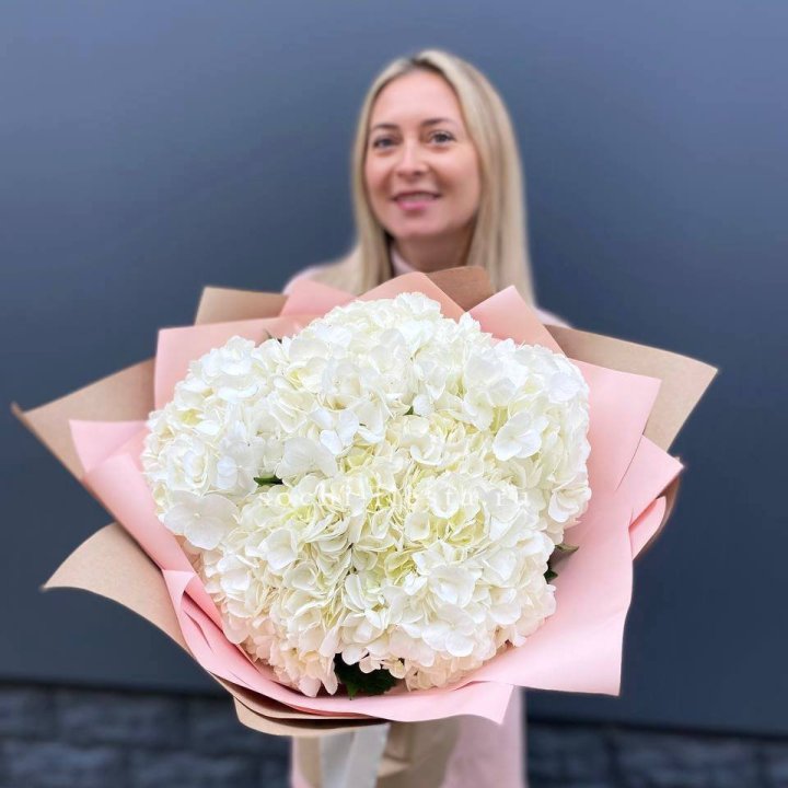 Гортензия белая в Уфе