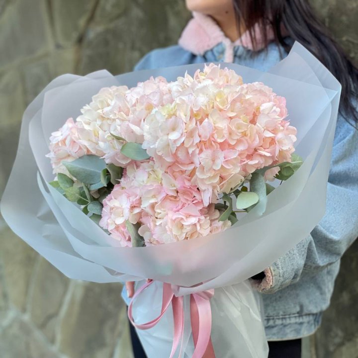 5 розовых гортензий в Уфе