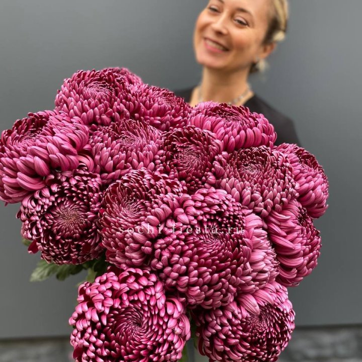 Охапка хризантем Бигуди в Уфе