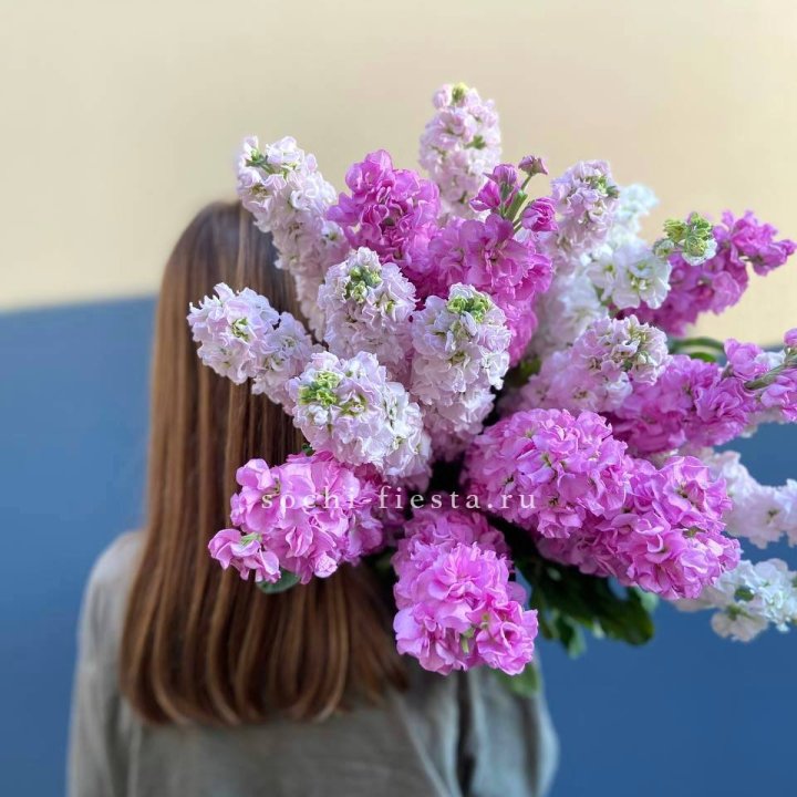 Охапка маттиолы в Уфе